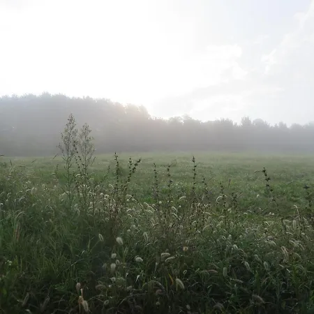 Panzió La Mela Antica