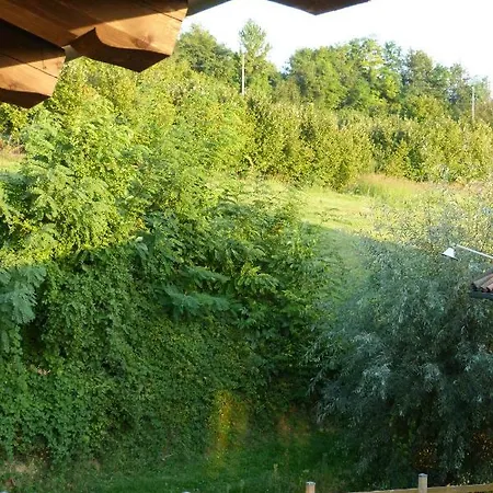 La Mela Antica 3* ケラスコ