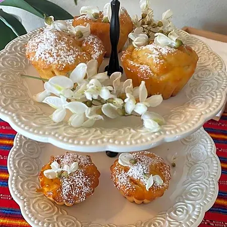Frühstückspension La Mela Antica Cherasco